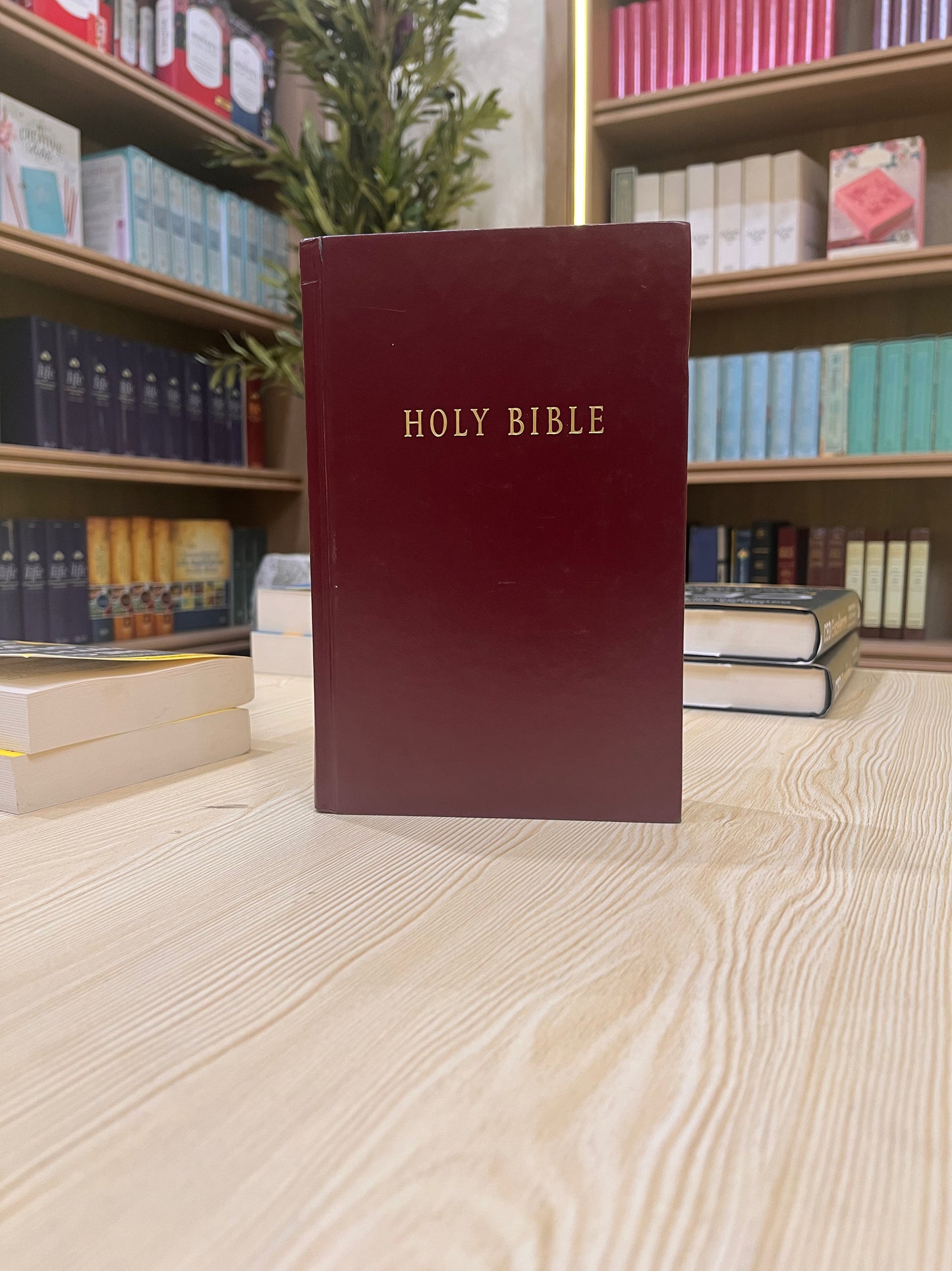 NLT Compact Bible