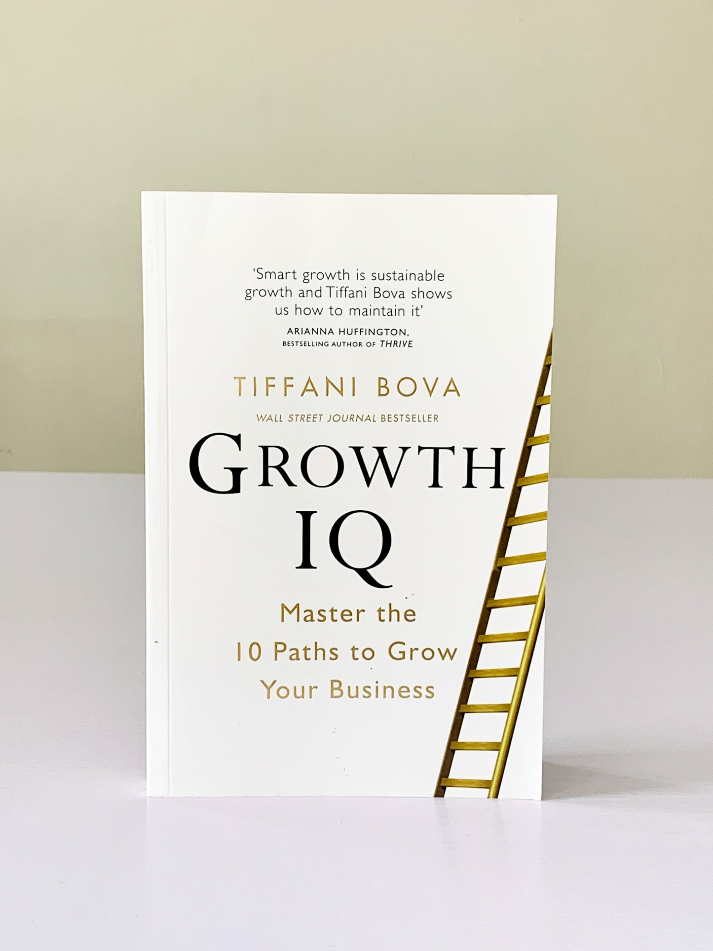Growth IQ: Get Smarter About the Choices that Will Make or Break Your Business