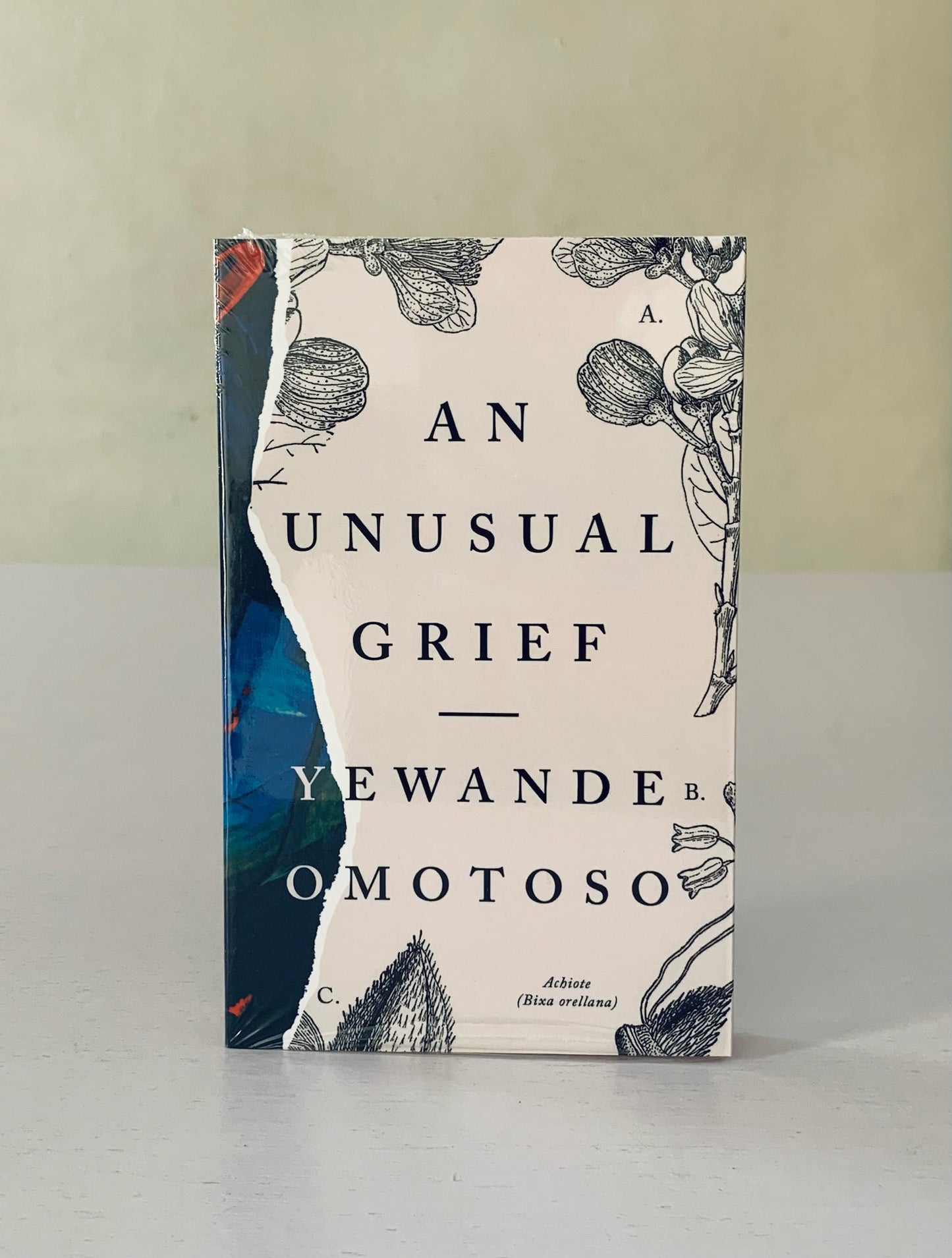 An Unsual Grief
