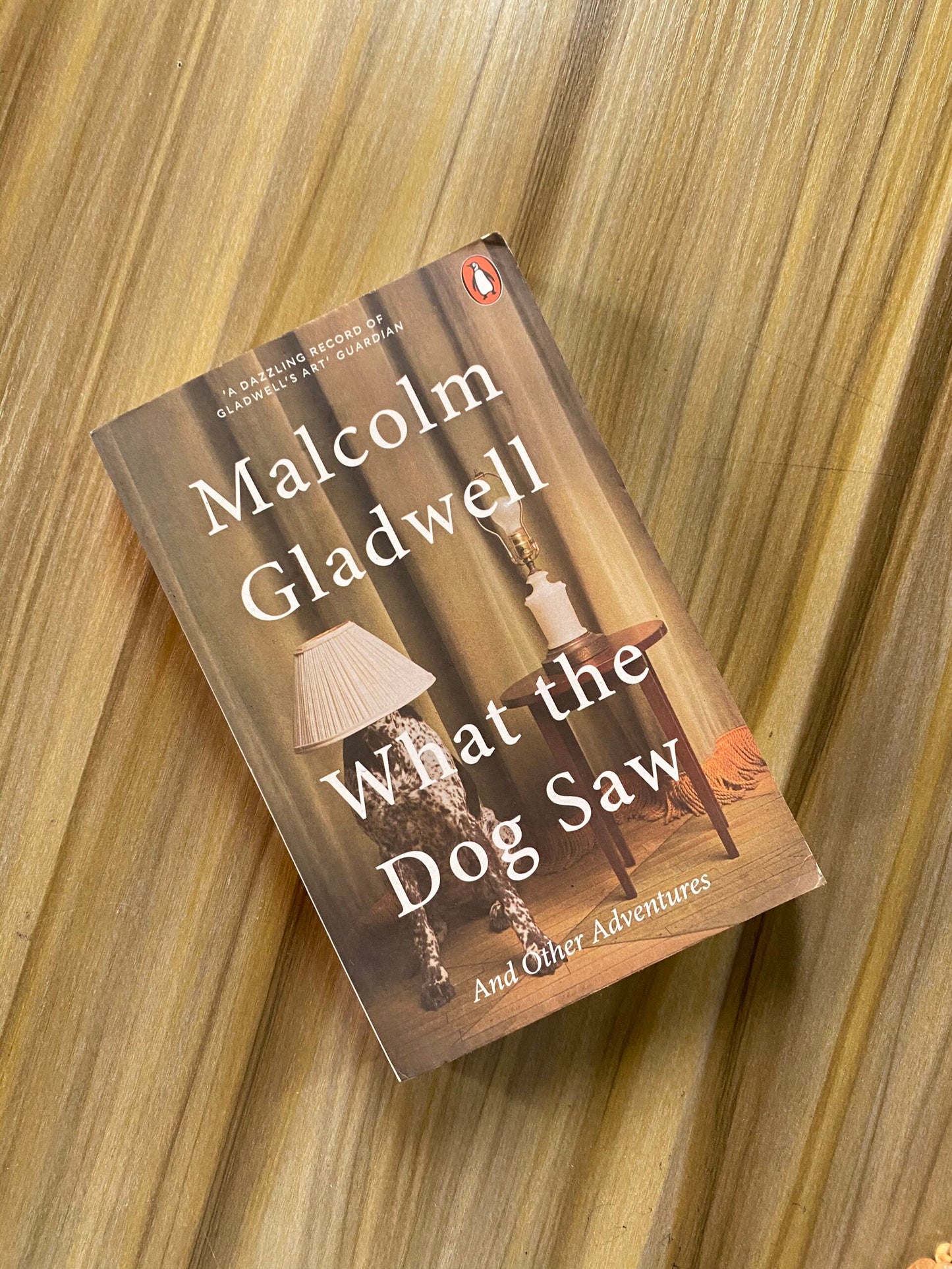 What The Dog Saw