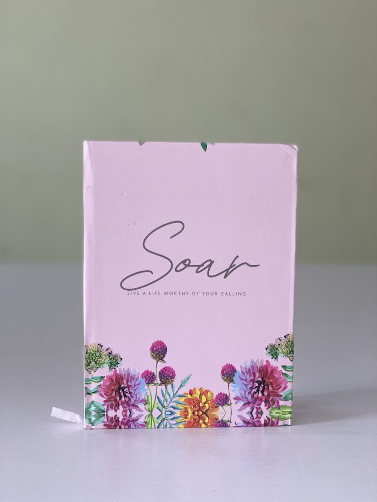 Soar Plain Journal