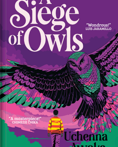 A Siege Of Owls