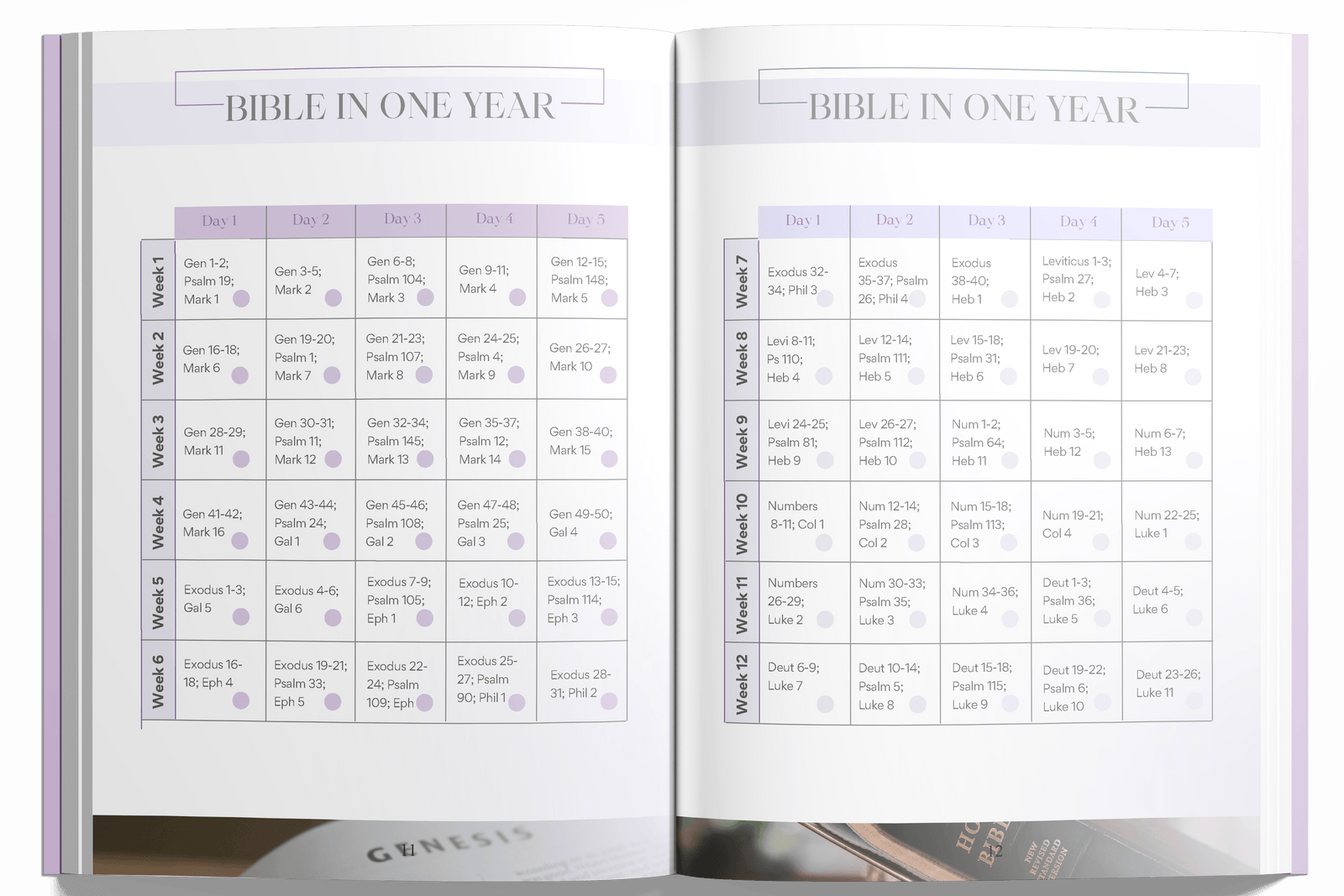 Planner page preview