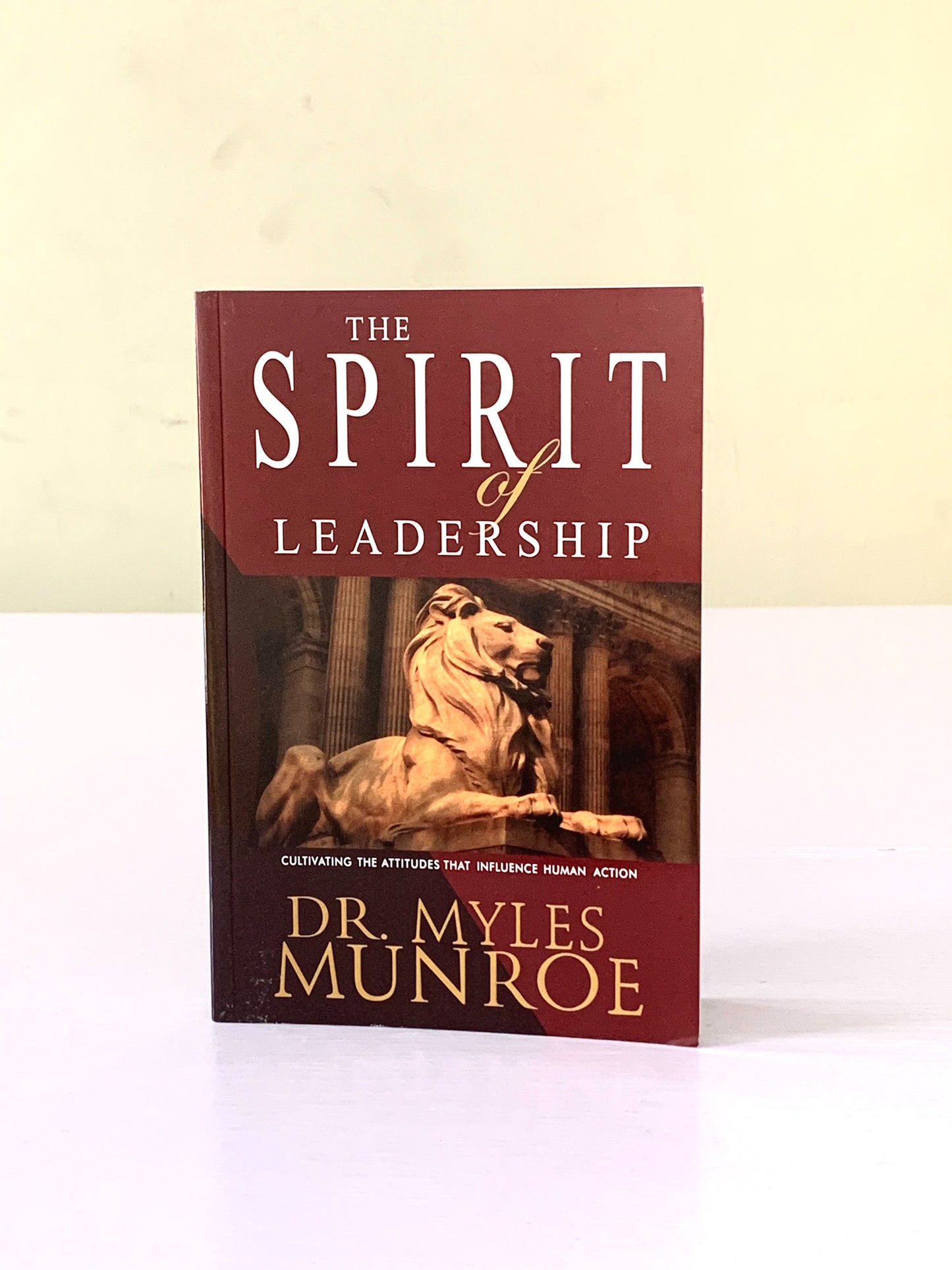 Spirit of Leadership