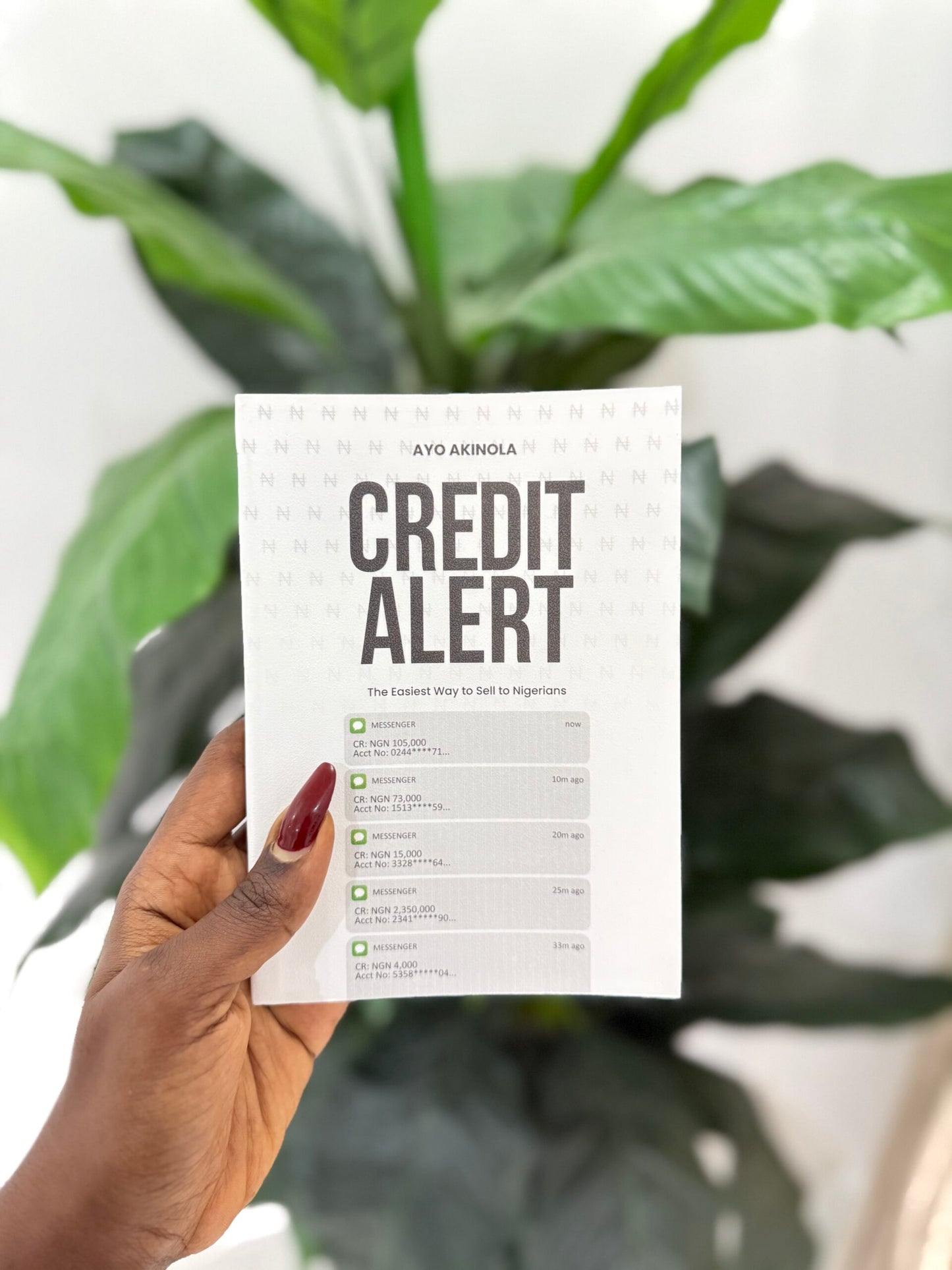 Credit Alert
