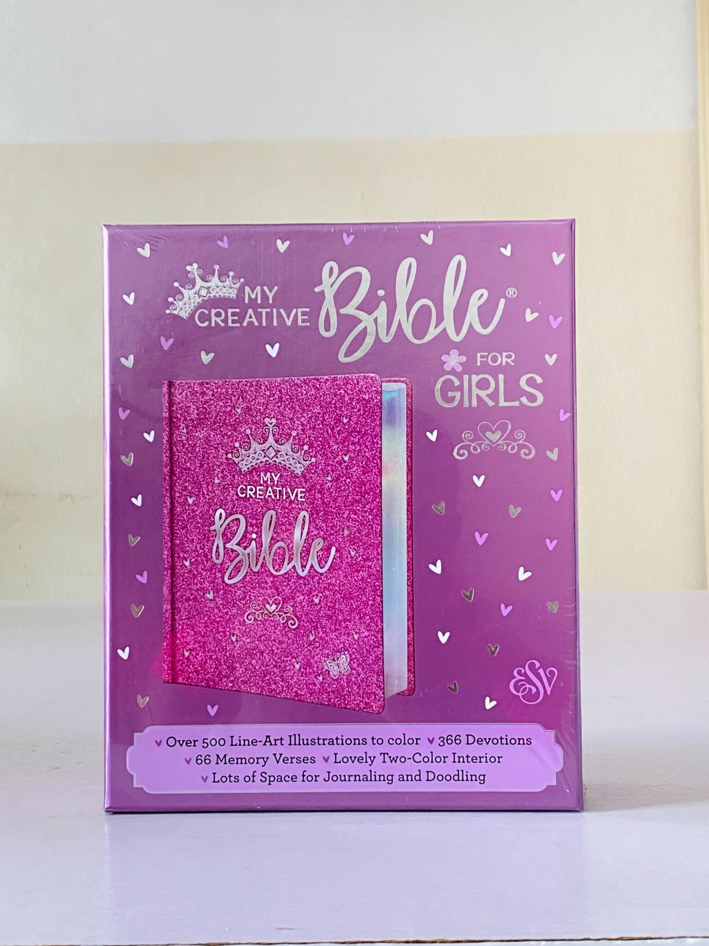 ESV My Creative Bible for Girls