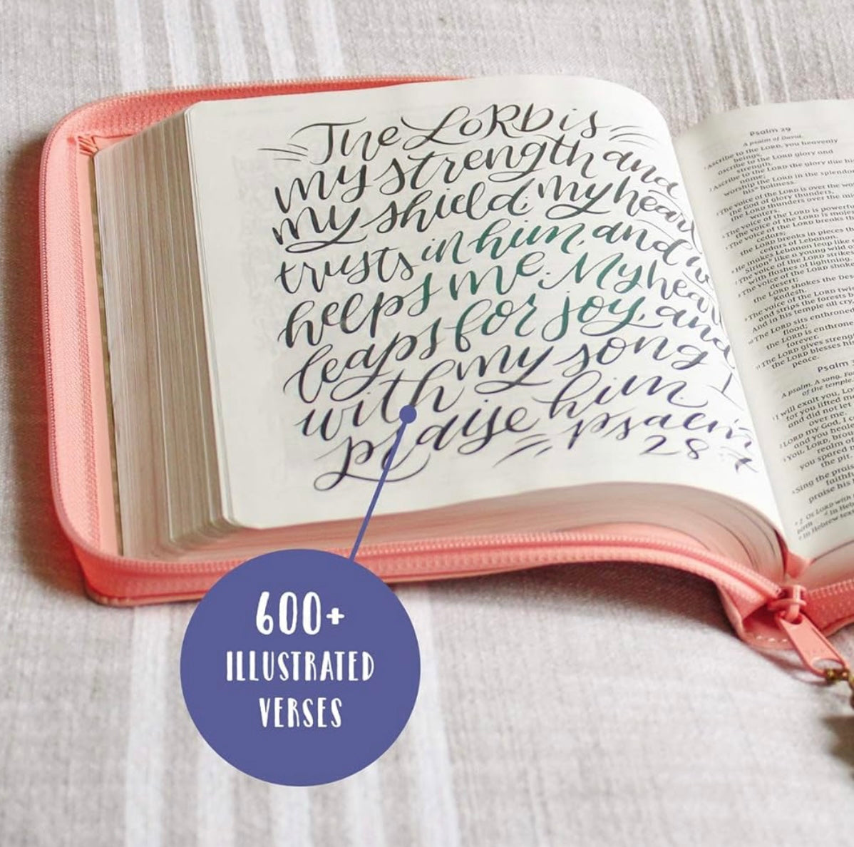 NIV, Beautiful Word Bible for Girls, Updated Edition, Leathersoft, Zippered, Pink, Red Letter, Comfort Print: 600+ Full-Color Illustrated Verses
