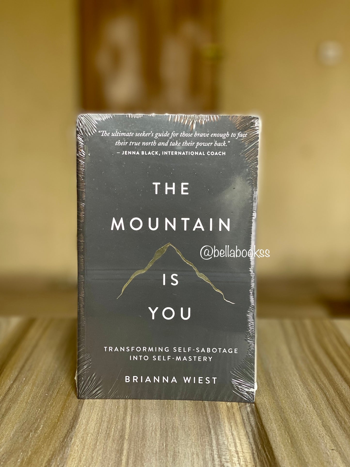 The Mountain Is You