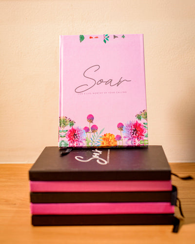 Soar Plain Journal