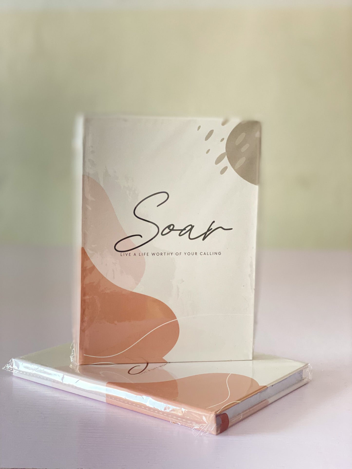 Soar Plain Journal