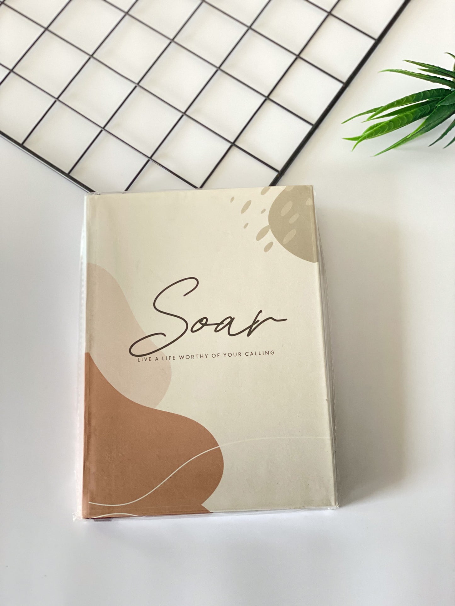 Soar Plain Journal