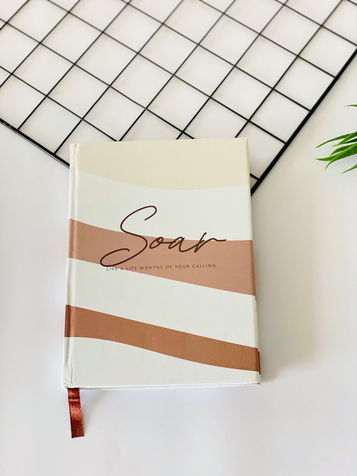 Soar Plain Journal