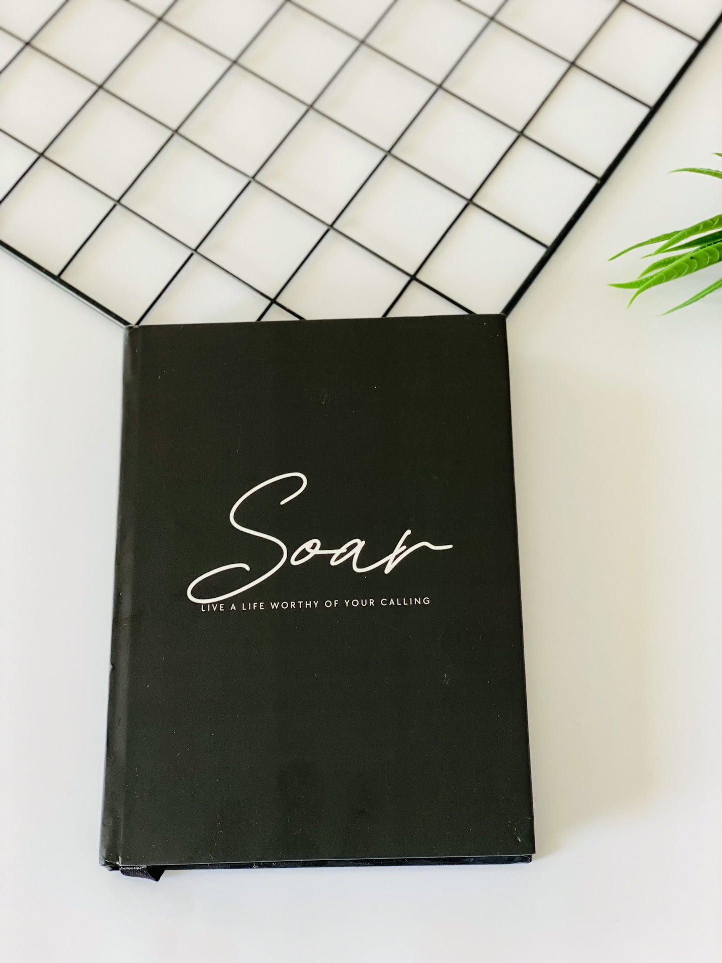 Soar Plain Journal