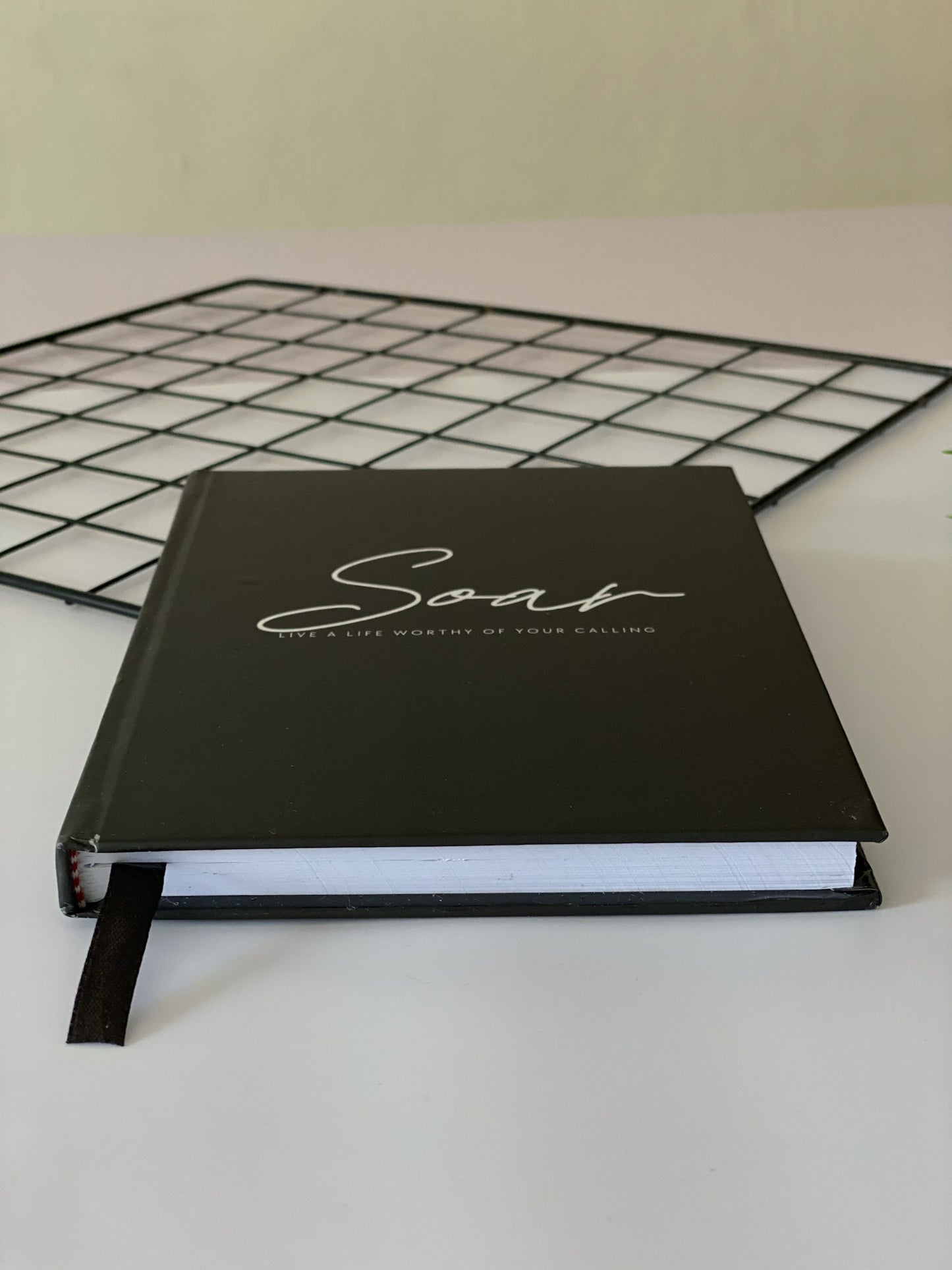Soar Plain Journal