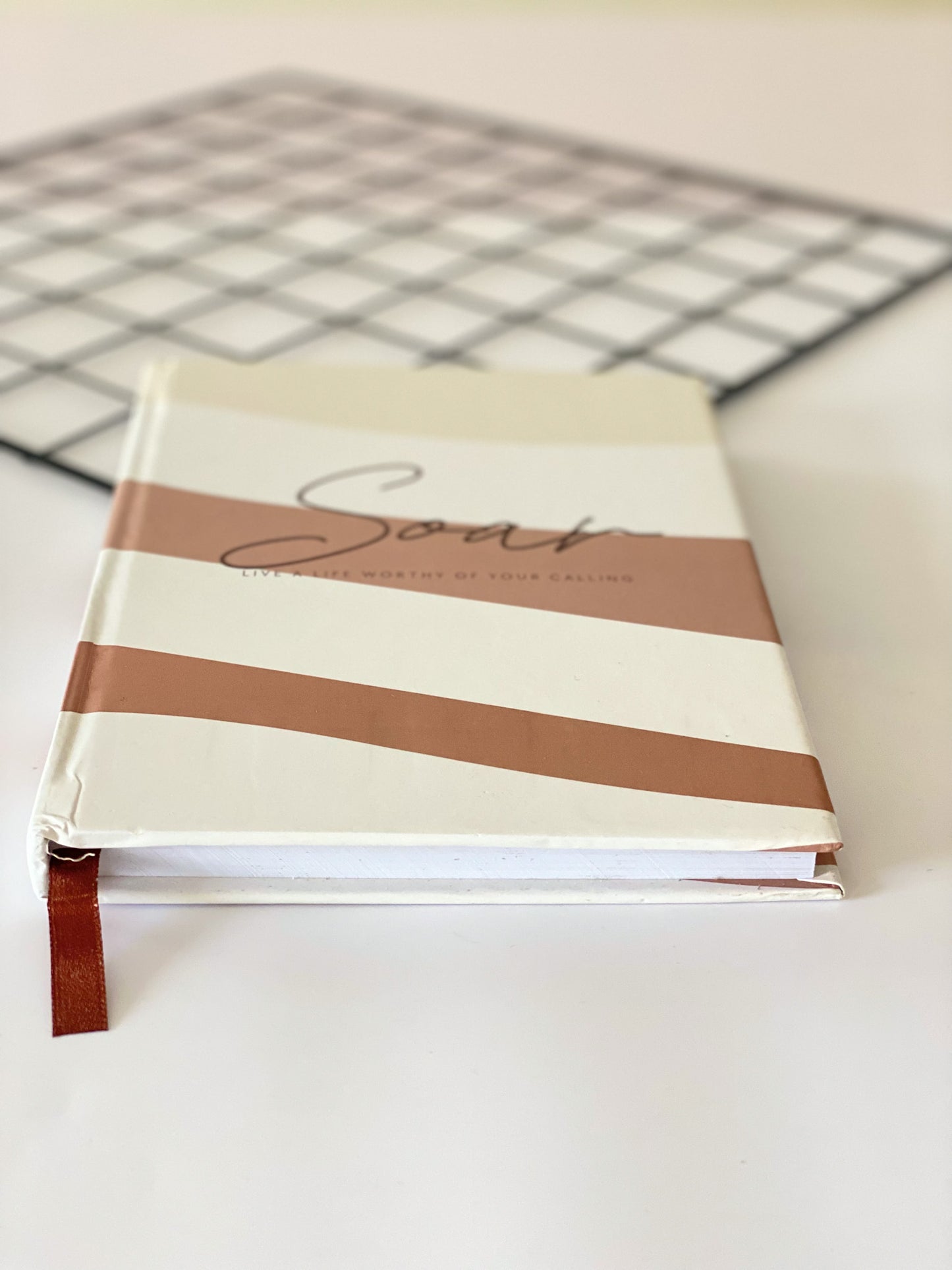 Soar Plain Journal