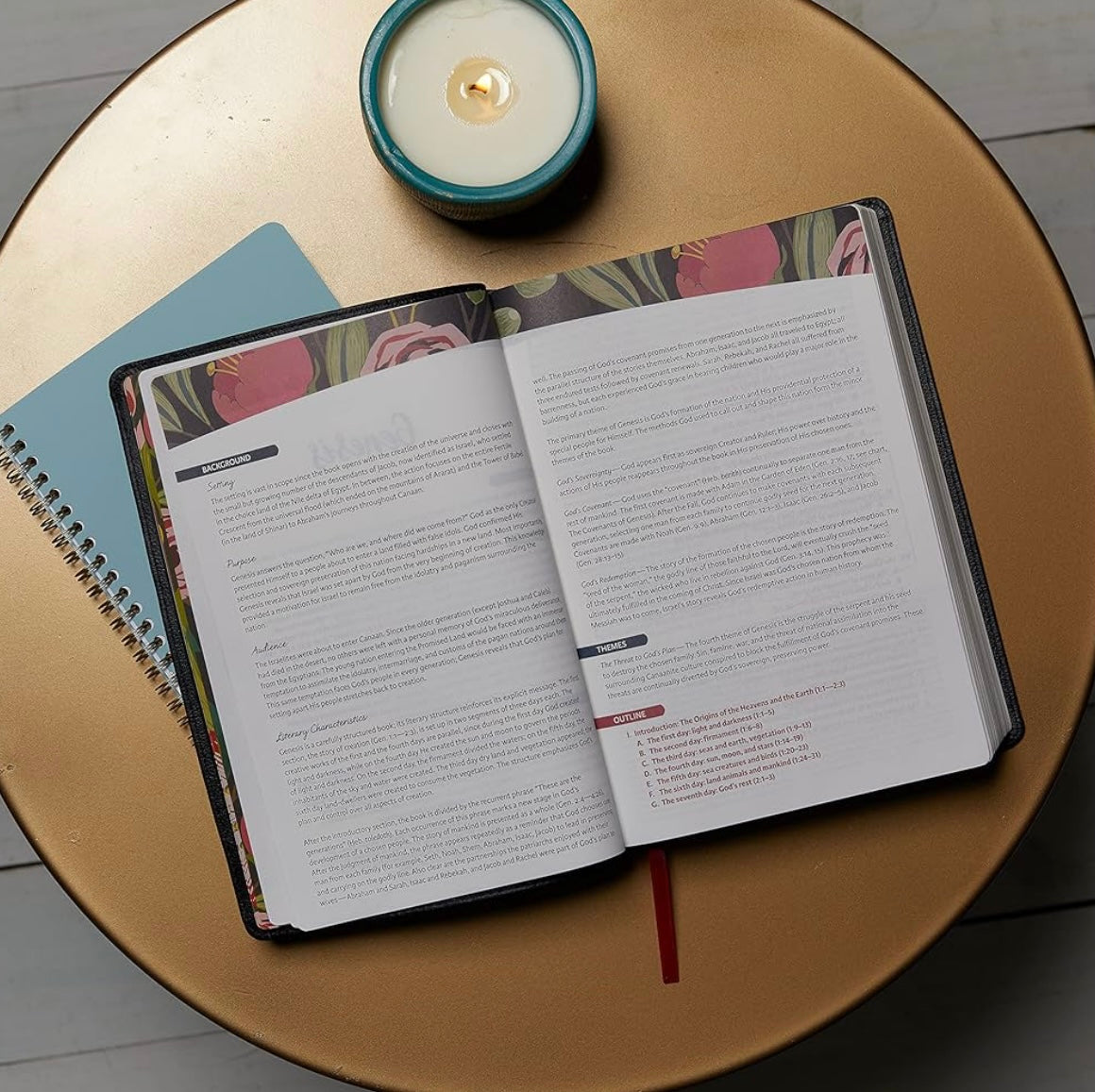 NKJV The Woman's Study Bible: Receiving God's Truth for Balance, Hope, and Transformation (Red Letter, Full-Color Edition)