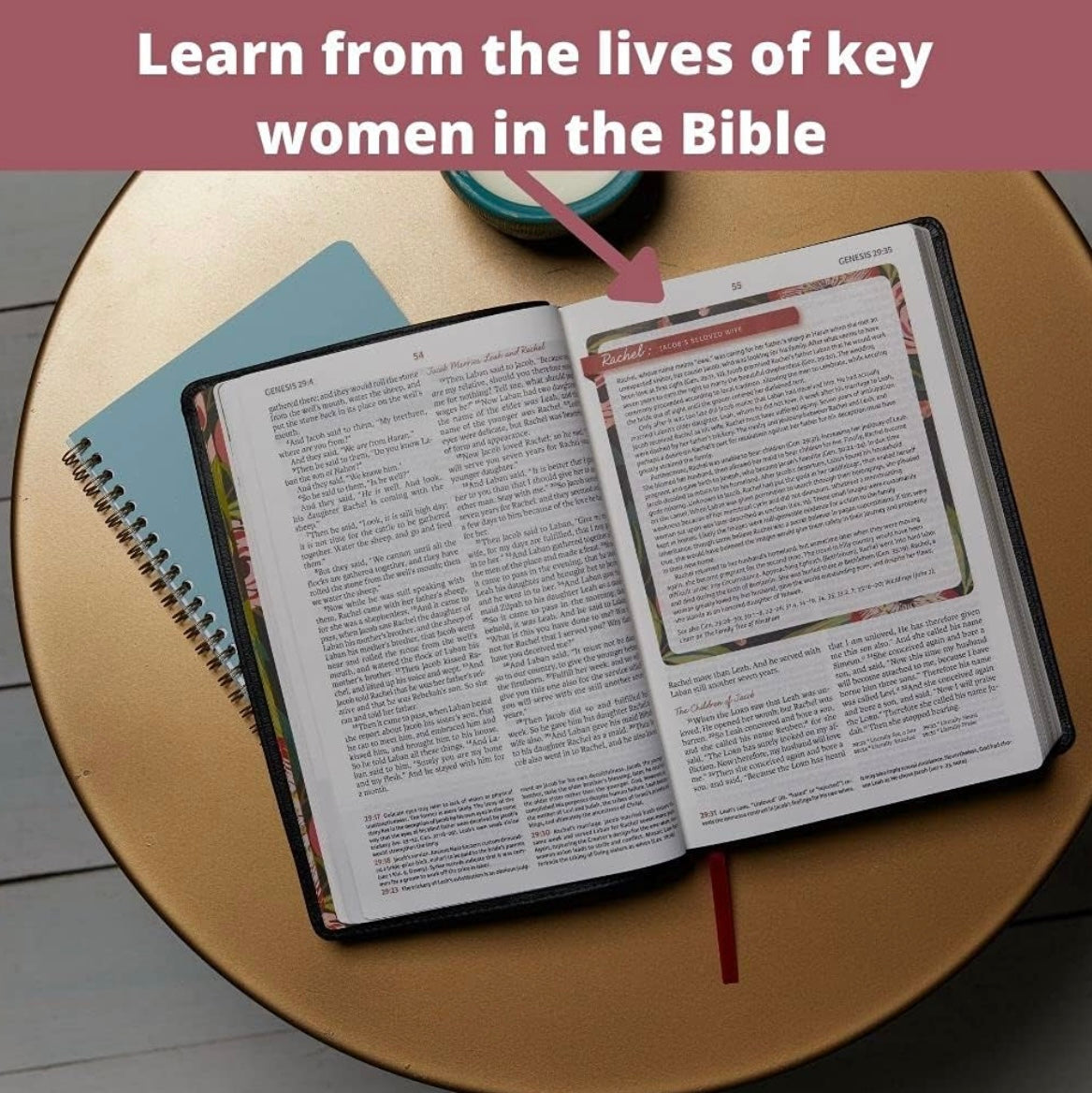 NKJV The Woman's Study Bible: Receiving God's Truth for Balance, Hope, and Transformation (Red Letter, Full-Color Edition)