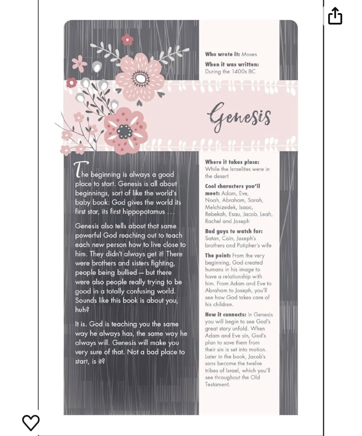 NIV, Ultimate Bible for Girls, Faithgirlz Edition, Hardcover