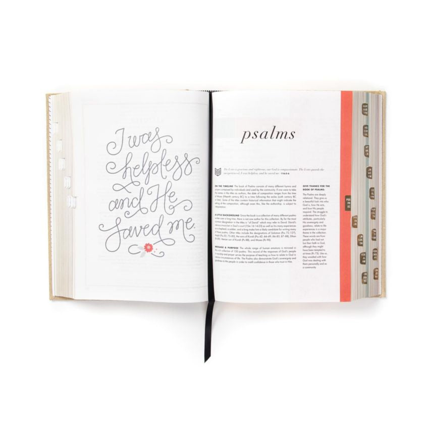 CSB She Reads Truth Bible