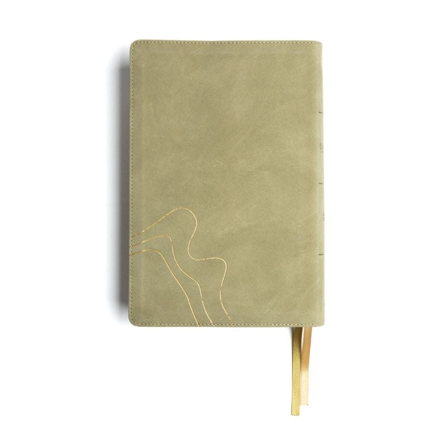CSB (in)courage Devotional Bible, Sage LeatherTouch - INCOURAGE