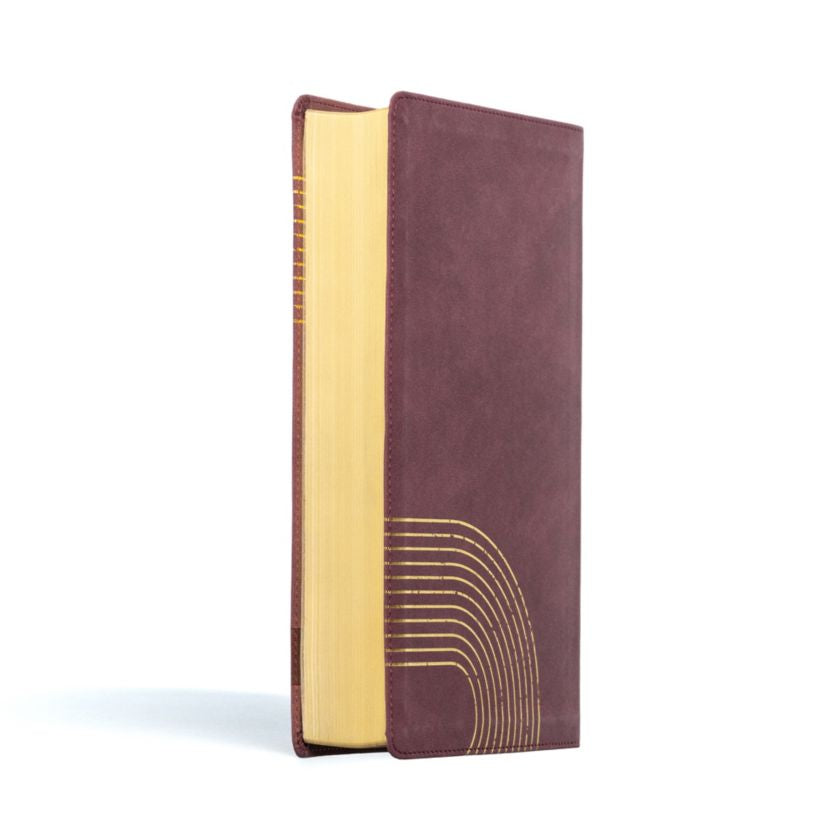 CSB (in)courage Devotional Bible, Bordeaux LeatherTouch - INCOURAGE