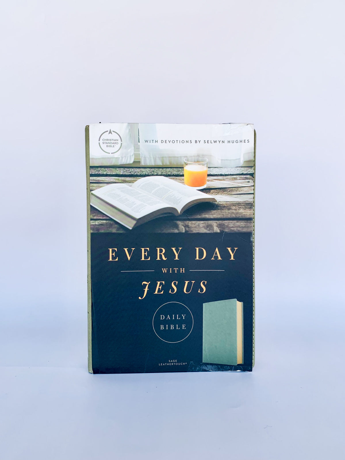 CSB Every Day with Jesus Daily Bible, Sage LeatherTouch, Black Letter, Reading Plan, One Year, Devotionals, Easy-to-Read Bible Serif Type