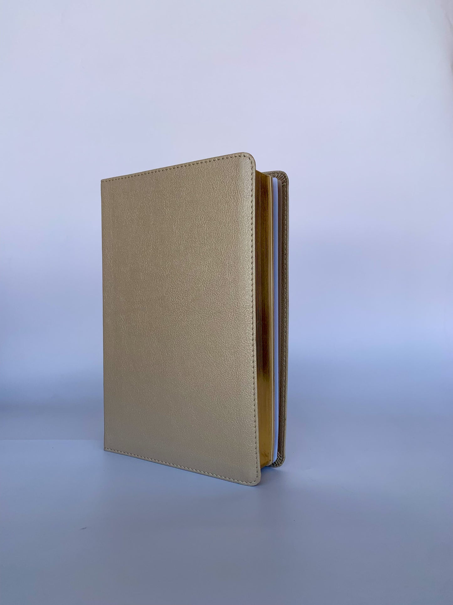 CSB Large Print Personal Size Reference Bible, Gold LeatherTouch, Red Letter,