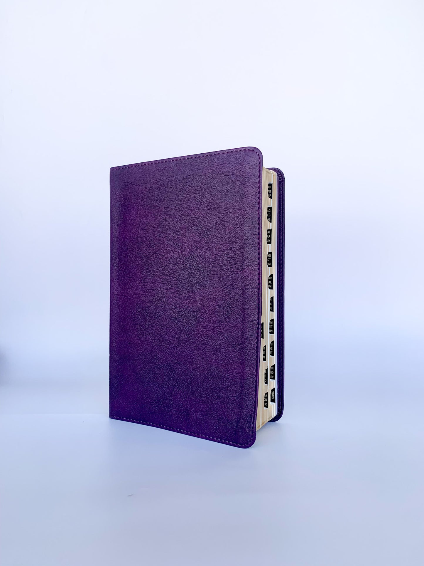 CSB Large Print Personal Size Reference Bible, Purple LeatherTouch, Indexed, Red Letter.