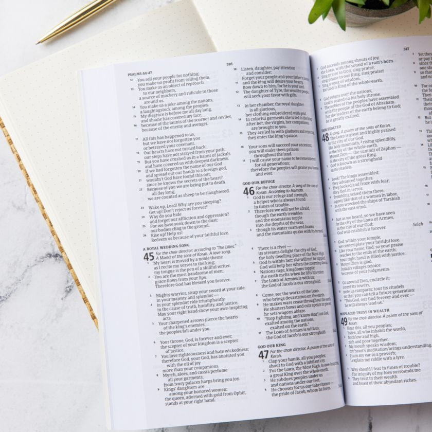 CSB Outreach Bible for Kids