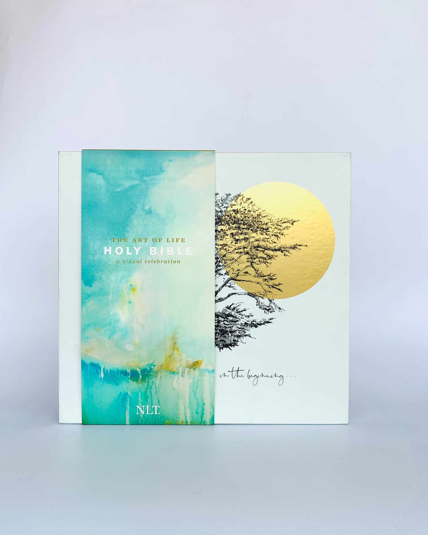 The NLT Art of Life Holy Bible: A Visual Celebration (Hardcover, Teal)