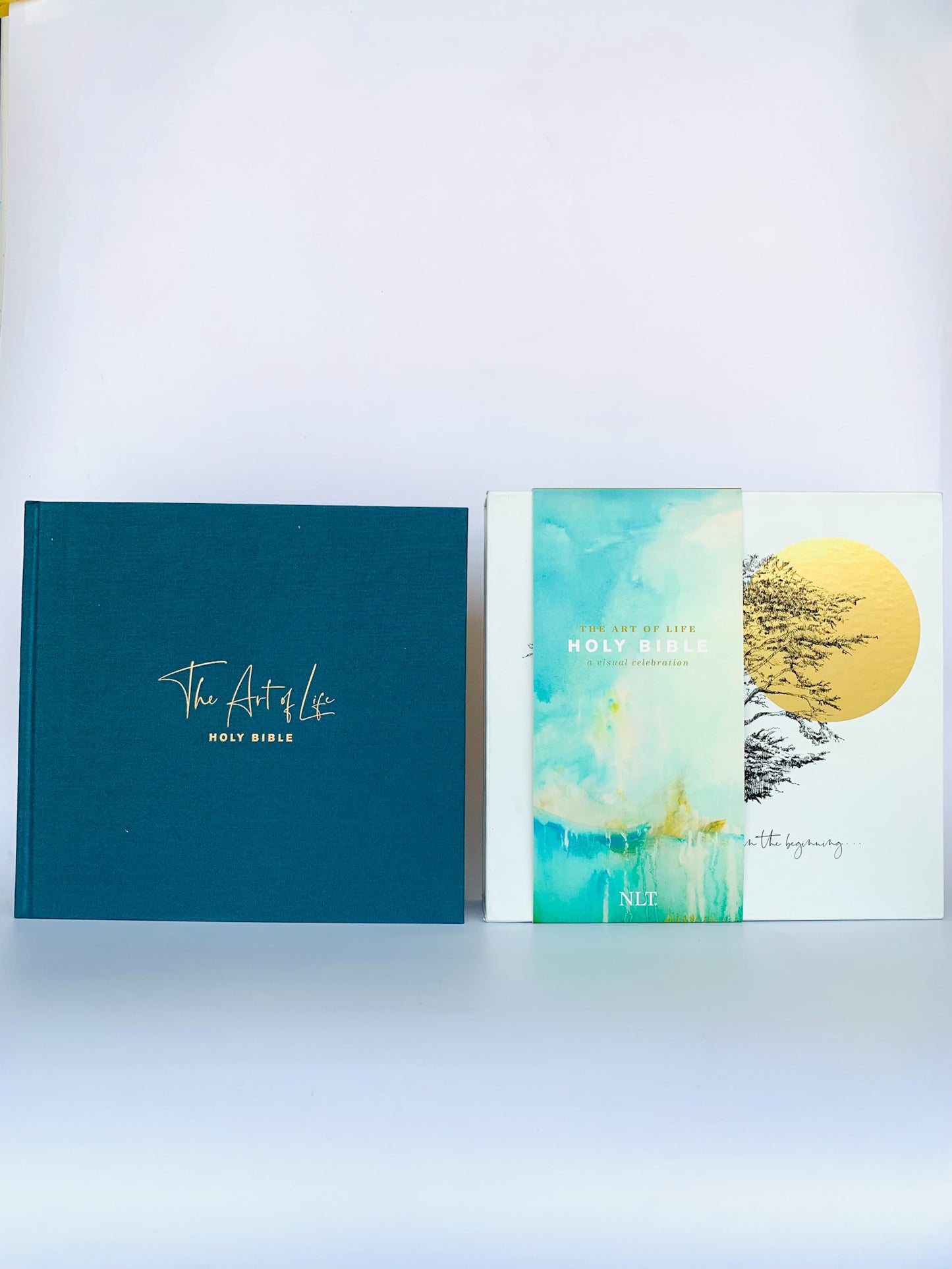The NLT Art of Life Holy Bible: A Visual Celebration (Hardcover, Teal)