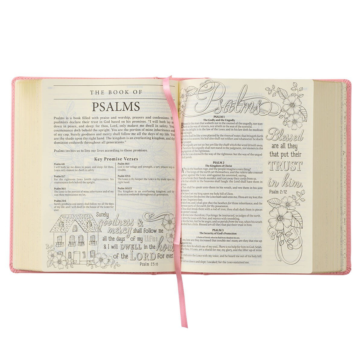 My Promise Bible KJV Faux Leather Hardcover