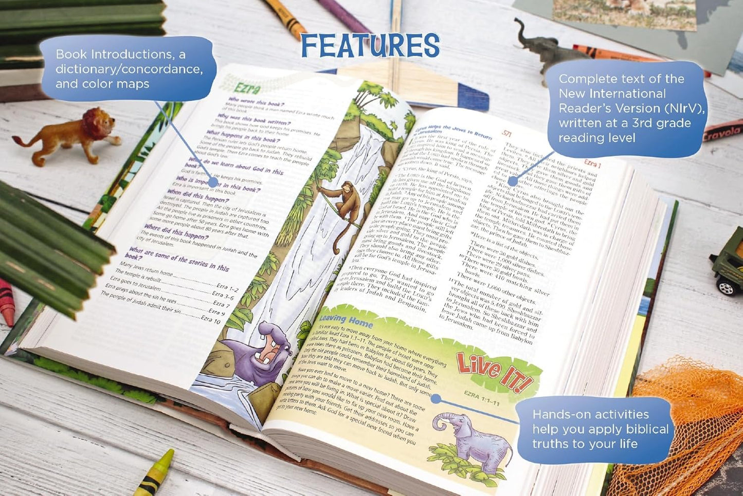 NIrV, Adventure Bible for Early Readers
