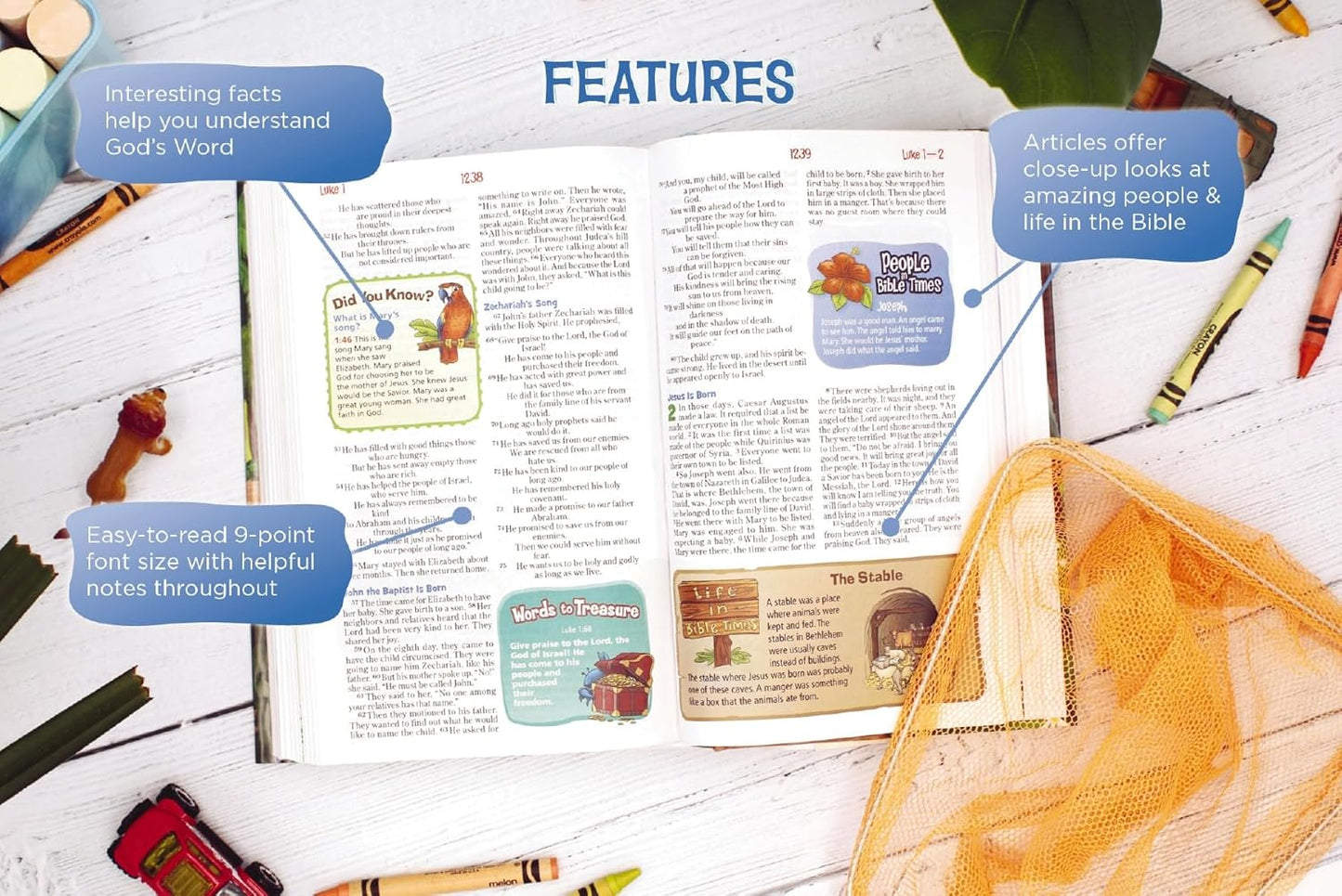 NIrV, Adventure Bible for Early Readers