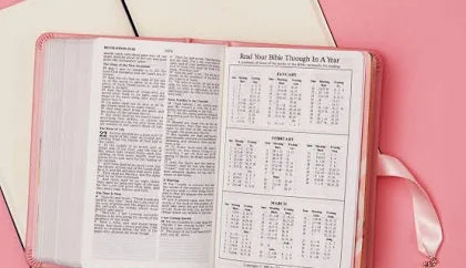 NKJV - SIMPLY CHARMING BIBLE - PINK