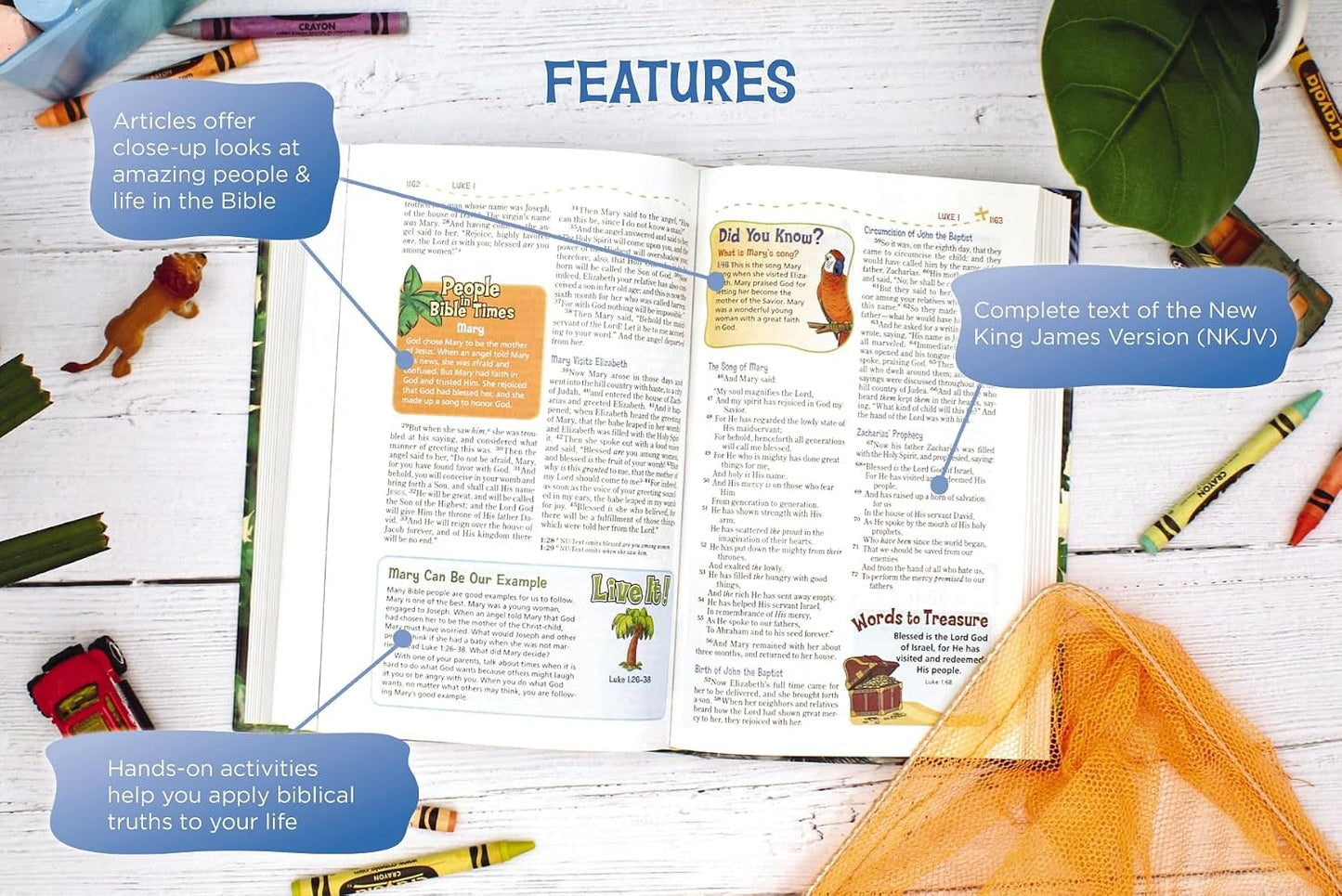 NKJV ADVENTURE BIBLE