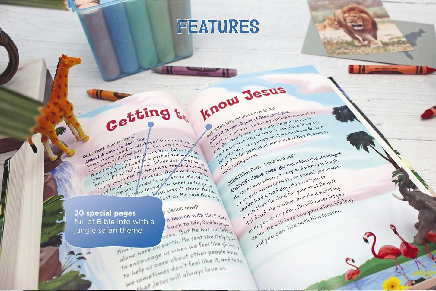 NKJV ADVENTURE BIBLE