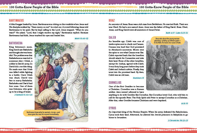 The Daily Wisdom for Boys SKJV Devotional Bible