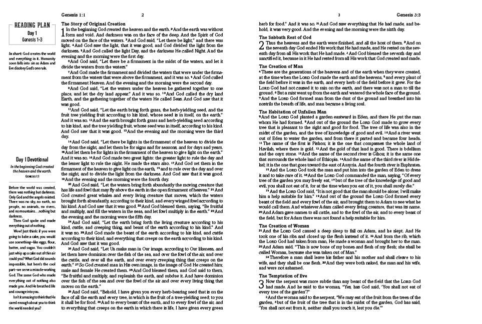 The Daily Wisdom for Boys SKJV Devotional Bible