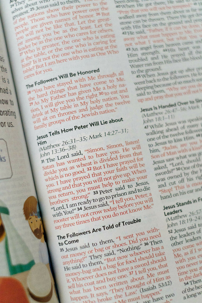 The Kids' Bedtime Devotional Bible: NLV