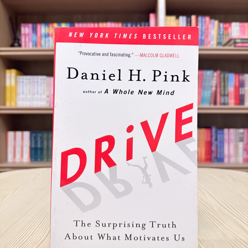 Drive: The Surprising Truth About What Motivates Us